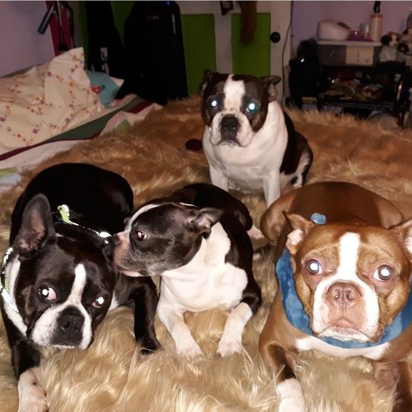 Meet My Shipping Department - Picture 2 of 6